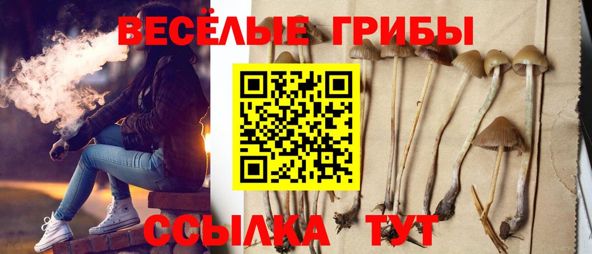Галлюциногенные грибы прущие грибы  Вход с VPN  Ессентуки 
